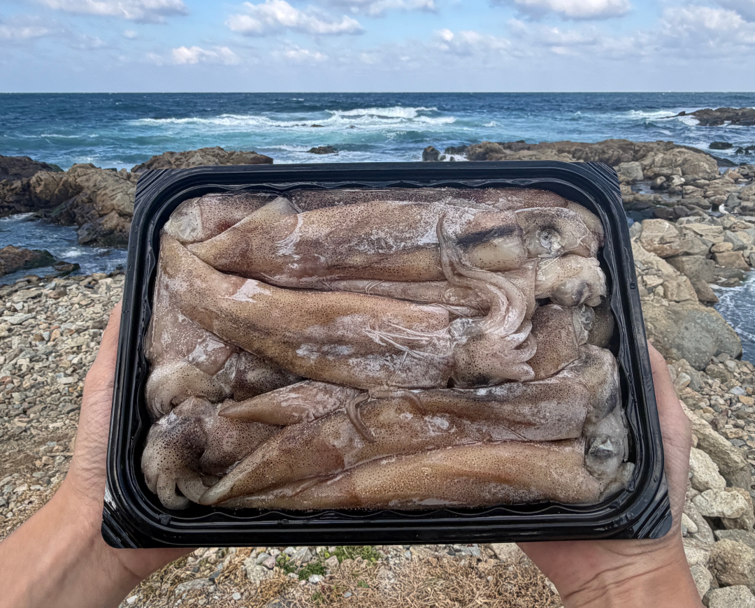 급냉 통오징어 1kg 1kg(8-12미)